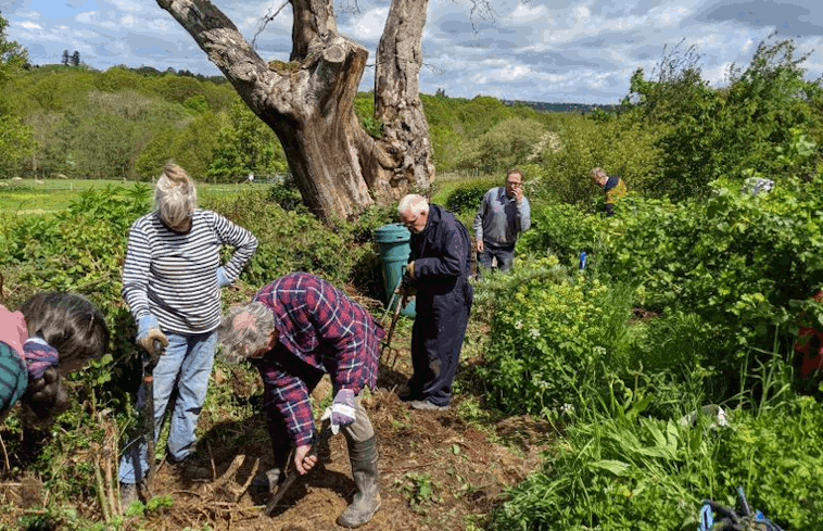 A group of volunteers digging at Haye Farm