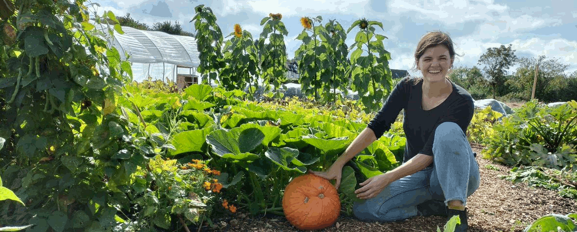 Haye Farm Market Garden- woman gardening, pumpkins
