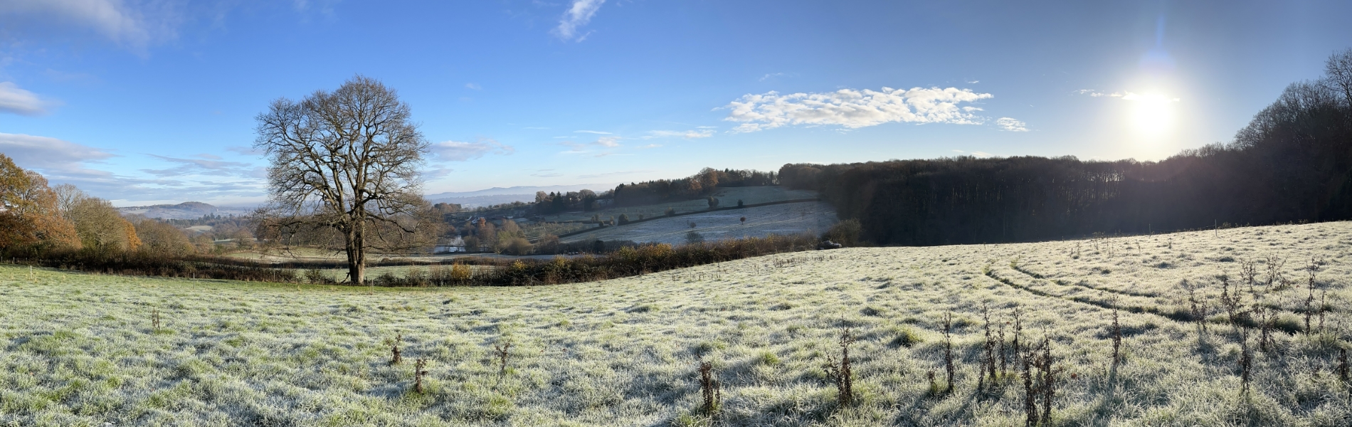 Frosty fields at Haye Farm